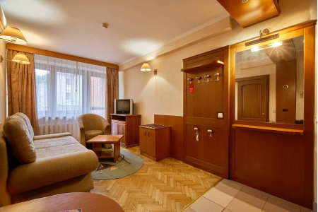 Номер Двухкомнатный стандартный 1 и 2 этаж - Пансионат с лечением «Заря», Московская обл - 4