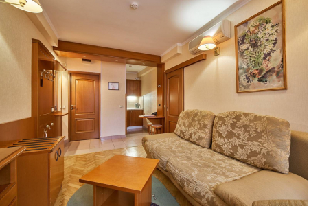 Номер Двухкомнатный стандартный 1 и 2 этаж - Пансионат с лечением «Заря», Московская обл - 5