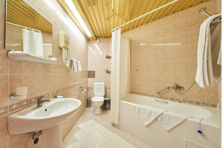 Номер Двухкомнатный стандартный 1 и 2 этаж - Пансионат с лечением «Заря», Московская обл - 7