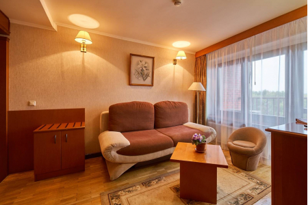 Номер 2-комнатный Полулюкс - Пансионат с лечением «Заря», Московская обл - 9