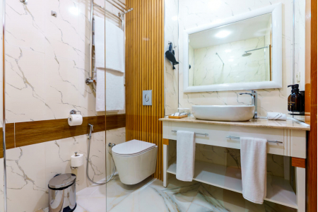 Санаторий «Парк Шафран», Ессентуки, изображение 81