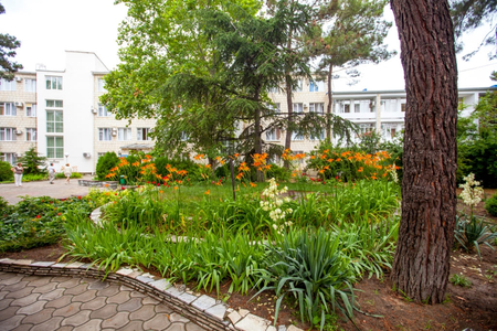 Номер Одноместный номер, 7 корпус - Санаторий «Русь», Анапа - 5