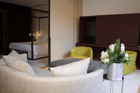 Номер Exclusive Spa Suite - SPA-отель «Барвиха», Московская обл - 4