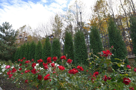 Санаторий «Электроника», Кисловодск, изображение 75