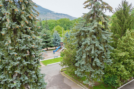 Военный Детский санаторий, Пятигорск, изображение 90