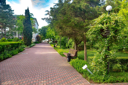 Санаторий «Золотой берег», Евпатория, изображение 54