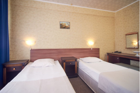 Номер 2-местный 2 категории (2К2м1к1) - Санаторий «Эльбрус», Железноводск - 3