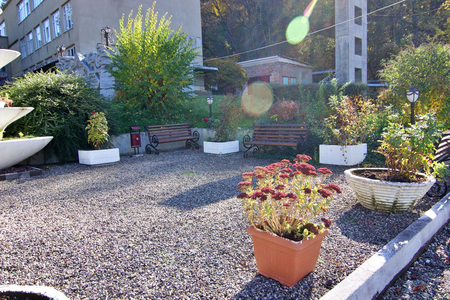 Санаторий «Димитрова», Кисловодск, изображение 116