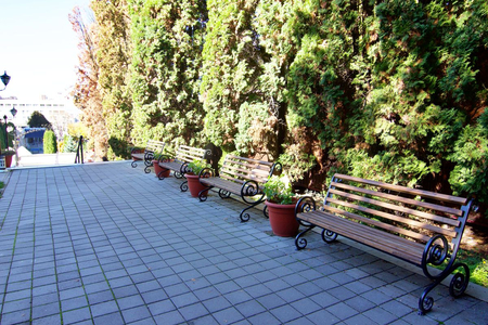 Санаторий «Димитрова», Кисловодск, изображение 115