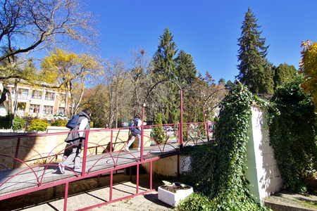 Санаторий «Димитрова», Кисловодск, изображение 118