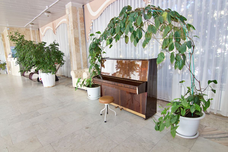 Санаторий «Димитрова», Кисловодск, изображение 122