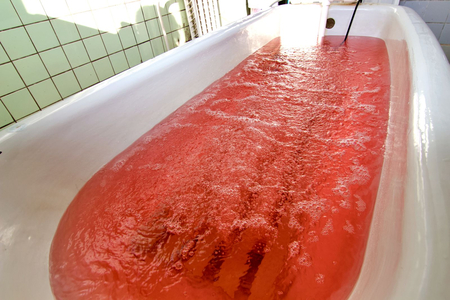 Санаторий «Виктория», Ессентуки, изображение 109