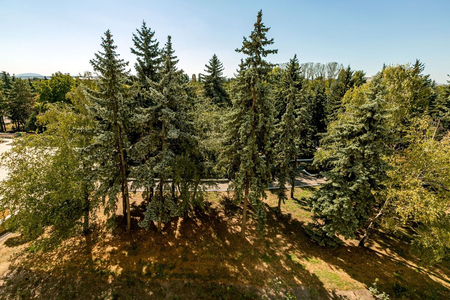 Санаторий «Россия», Ессентуки, изображение 39