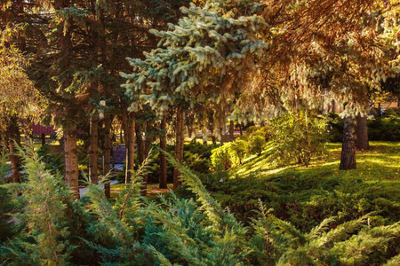 Санаторий «Россия», Ессентуки, изображение 82