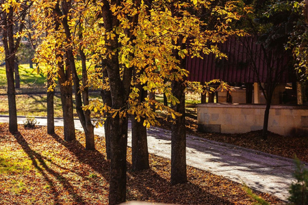 Санаторий «Россия», Ессентуки, изображение 83