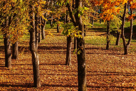 Санаторий «Россия», Ессентуки, изображение 84