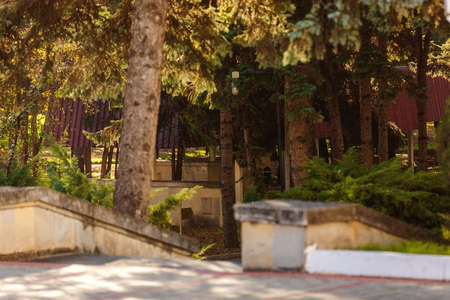 Санаторий «Россия», Ессентуки, изображение 86