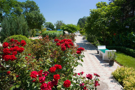 Санаторий «Евпатория», Евпатория, изображение 90