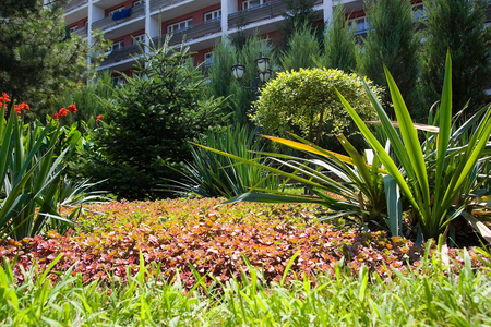 Санаторий «Евпатория», Евпатория, изображение 79