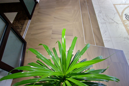 Санаторий «Руно», Пятигорск, изображение 79