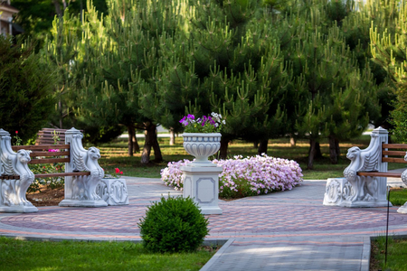 Санаторий «Сакрополь», Саки, изображение 62