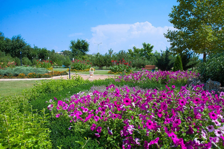 Санаторий «Сакрополь», Саки, изображение 41