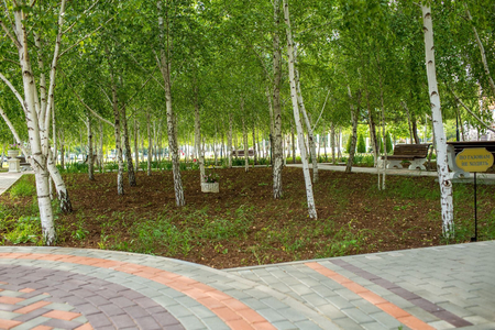 Санаторий «Сакрополь», Саки, изображение 113