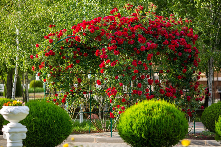 Санаторий «Сакрополь», Саки, изображение 123