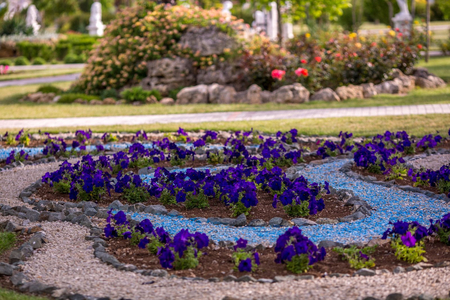 Санаторий «Сакрополь», Саки, изображение 127