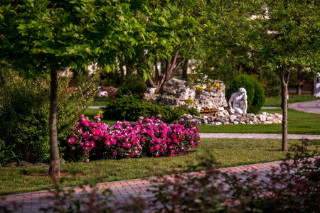 Санаторий «Сакрополь», Саки, изображение 126