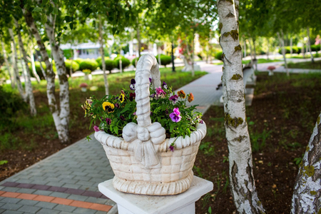 Санаторий «Сакрополь», Саки, изображение 121