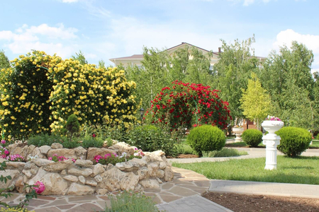 Санаторий «Сакрополь», Саки, изображение 32