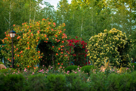 Санаторий «Сакрополь», Саки, изображение 38