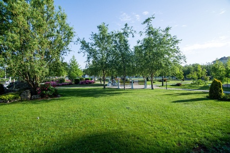 Санаторий «Сакрополь», Саки, изображение 10