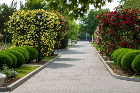 Санаторий «Сакрополь», Саки, изображение 69