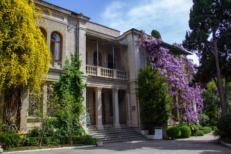 Санаторий «Кирова», Ялта, изображение 40