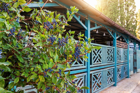 Санаторий «Утес», Алушта, изображение 53