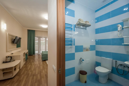 Номер Тематический - Санаторий «Саки», Саки - 13