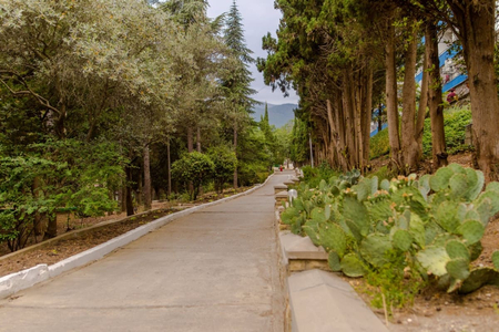 Курортный отель «Ателика Горизонт», Алушта, изображение 52