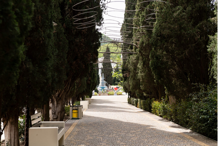 Санаторий «Алушта», Алушта, изображение 150