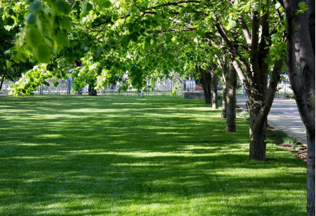 Санаторий «Малая бухта», Анапа, изображение 43
