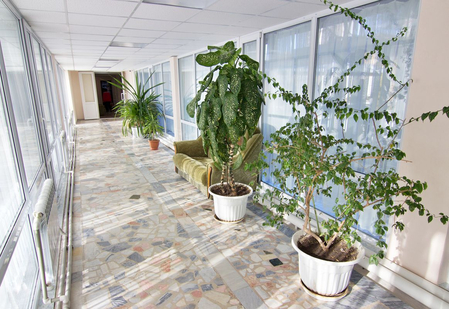 Санаторий «Дубрава», Железноводск, изображение 155