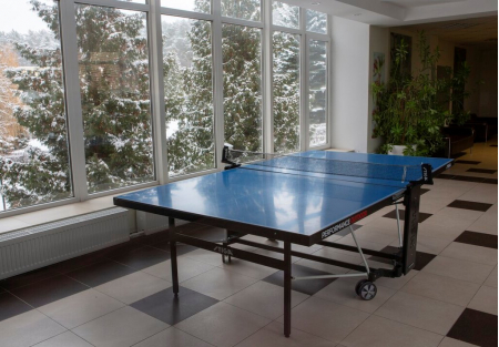 Отель «Оркестра Ока Спа Резорт», Московская обл., изображение 45