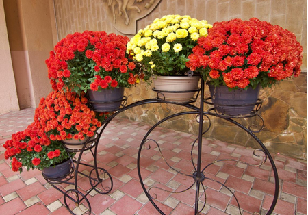 Санаторий «30 лет Победы», Железноводск, изображение 66