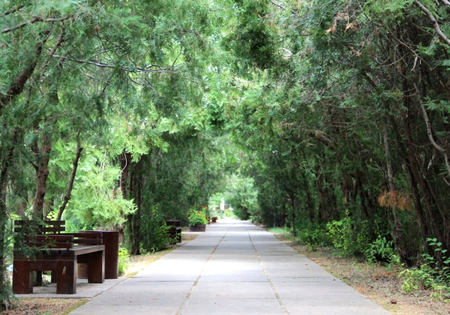 Санаторий «Саки», Саки, изображение 21