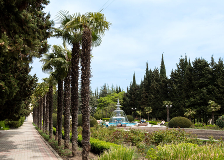 Санаторий «Алушта», Алушта, изображение 149