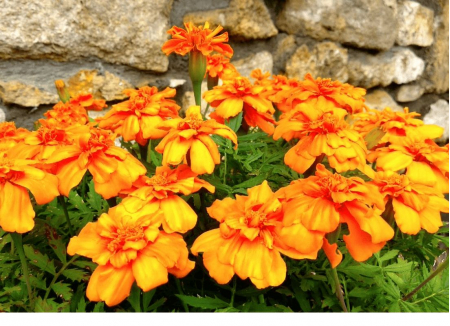 Медицинский центр «Княжна Мери», Железноводск, изображение 12