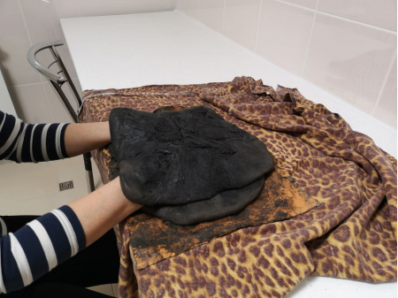 Санаторий «Дон», Пятигорск, изображение 25