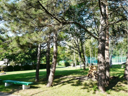 Санаторий «Жемчужина Кавказа», Ессентуки, изображение 28