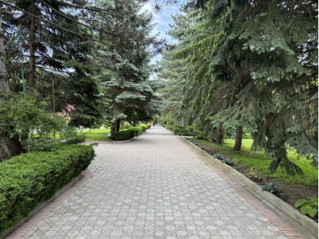 Санаторий «Лесной», Железноводск, изображение 81